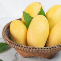 2026 Season Fresh Indian Banganpalli Mangoes - EFG Market