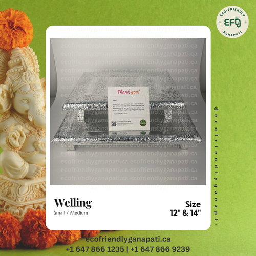 Silver Patla / Paat - EFG Market